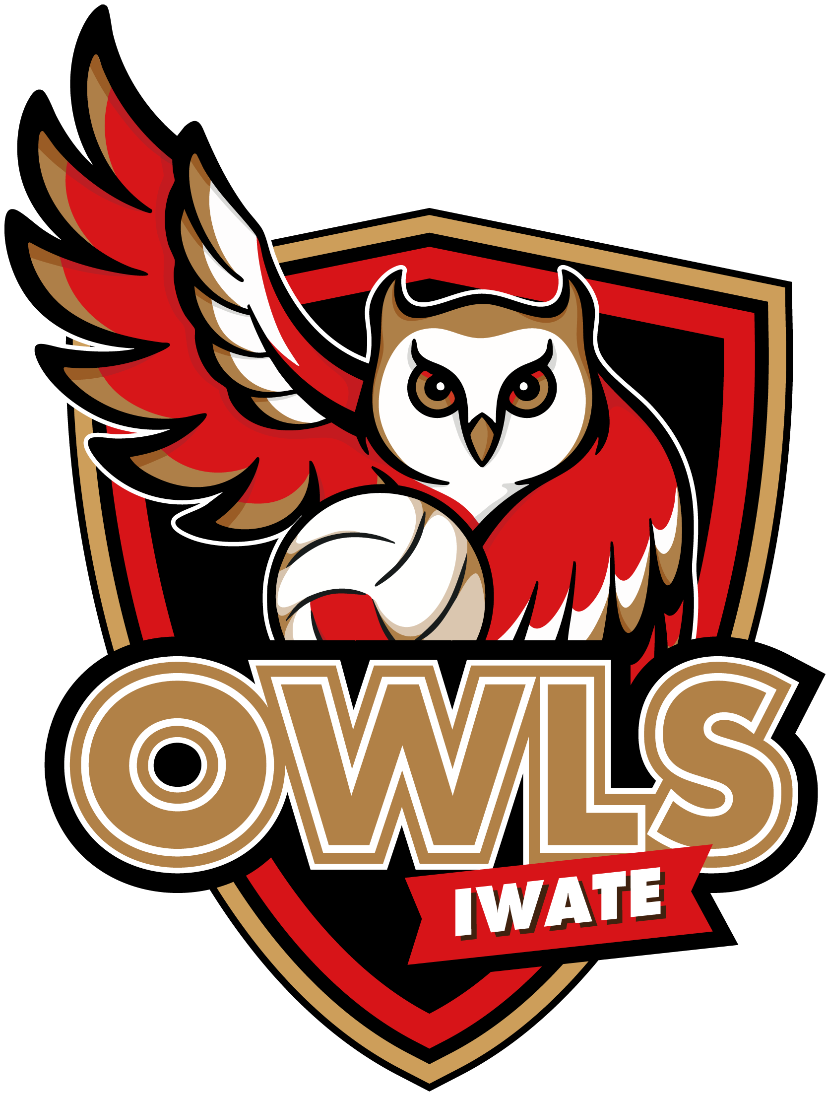 owls インスタグラム